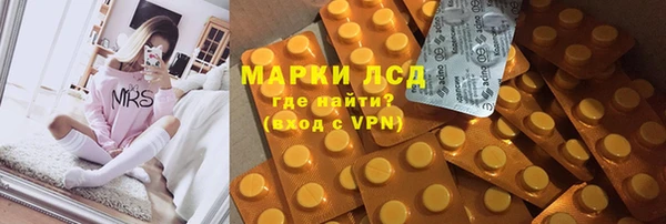 сатива Богданович