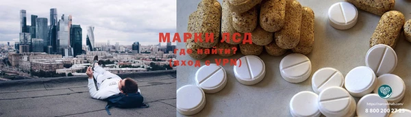 сатива Богданович