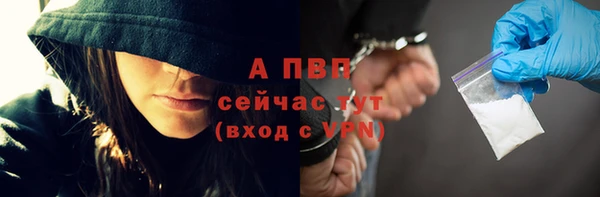 сатива Богданович