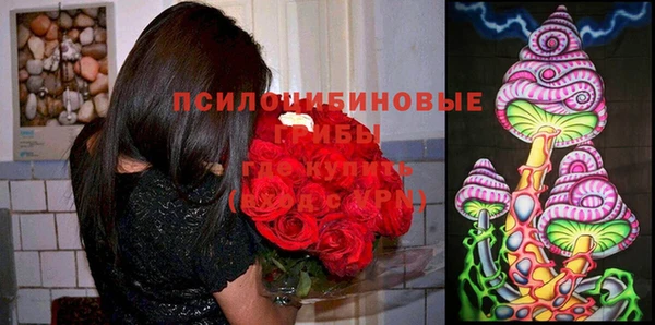 ешки Богородицк