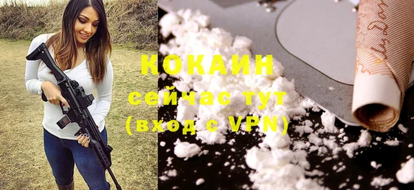 ешки Богородицк