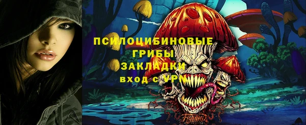 ешки Богородицк