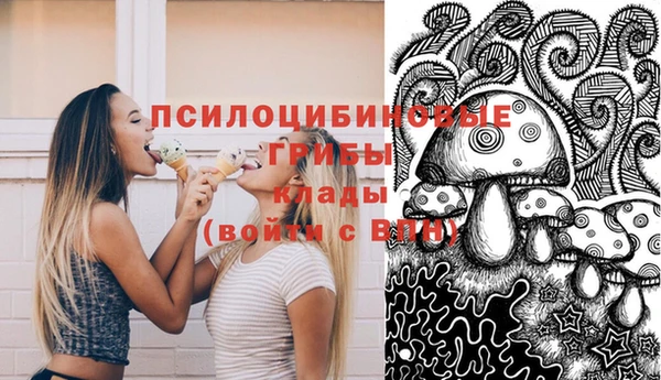 экстази Богородск