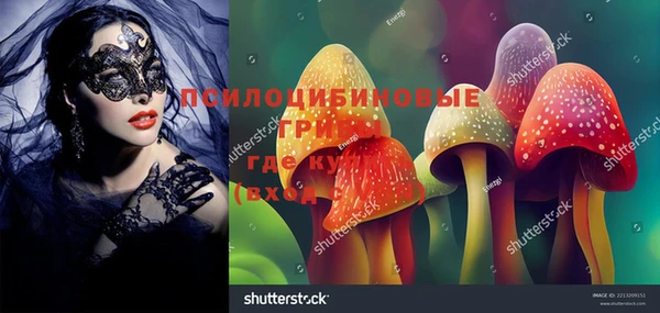 сатива Богданович