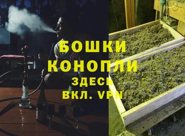 сатива Богданович