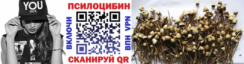 Галлюциногенные грибы прущие грибы  Купить закладки  Малгобек 