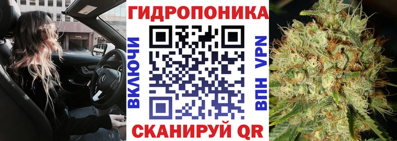 Канабис THC 21%  Купить  Малгобек 
